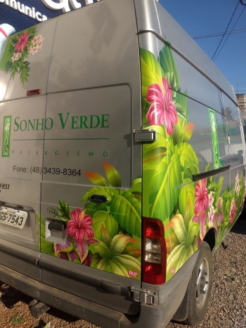 Sonho verde